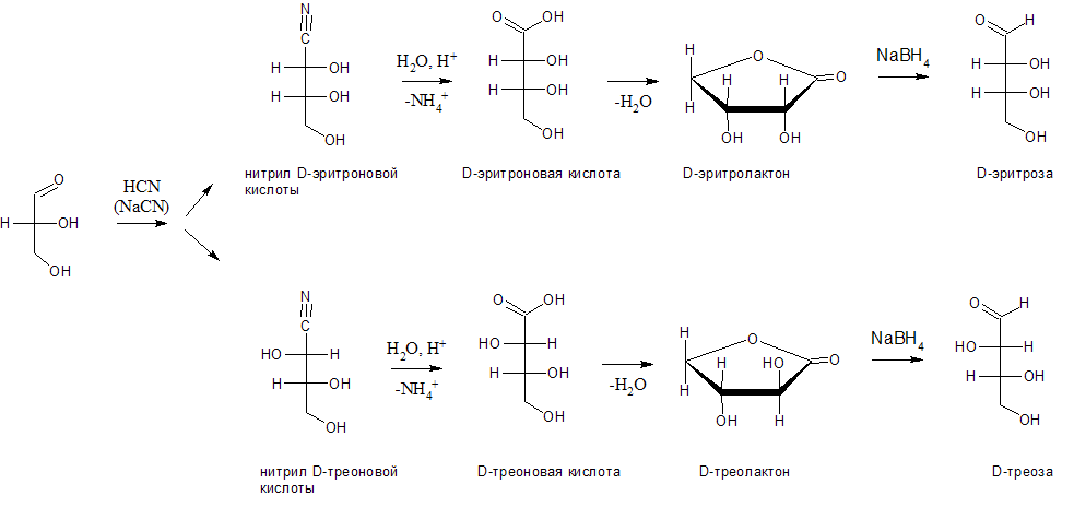 Рибоза реакция гидролиза. Оксинитрильный Синтез моносахаридов. D-эритроза оксинитрильный Синтез. Оксинитрильный Синтез d-глицеринового альдегида. Оксинитрильный Синтез d-галактозы.